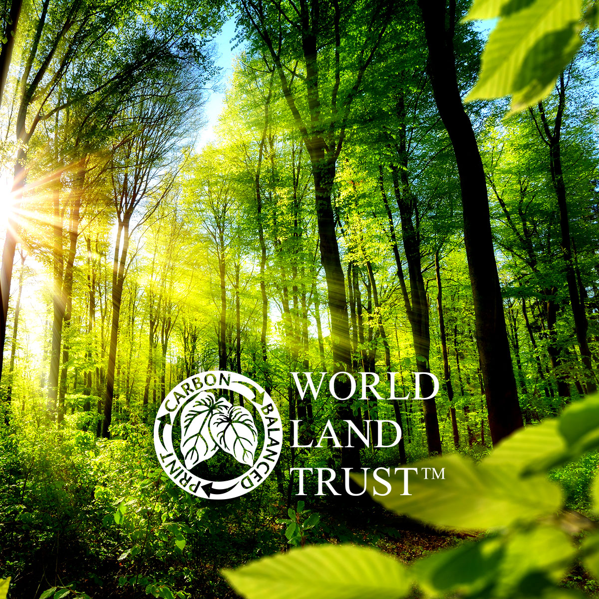 Rem-World-Land-Trust